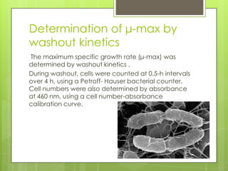 Determination of μ-max by
washout kinetics
The maximum specific growth rate (μ-max) was
determined by washout kinetics .
During washout, cells were counted at 0.5-h intervals
over 4 h, using a Petroff- Hauser bacterial counter.
Cell numbers were also determined by absorbance
at 460 nm, using a cell number-absorbance
calibration curve.
 