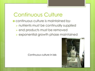 Continuous Culture
 continuous culture is maintained by-
 nutrients must be continually supplied
 end products must be removed
 exponential growth phase maintained
Continuous culture in lab
 