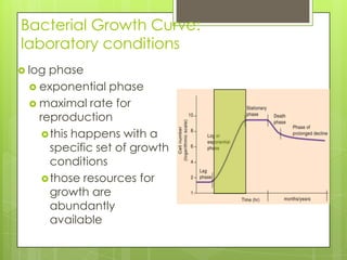 Bacterial Growth Curve:
laboratory conditions
 log phase
 exponential phase
 maximal rate for
reproduction
this happens with a
specific set of growth
conditions
those resources for
growth are
abundantly
available
 
