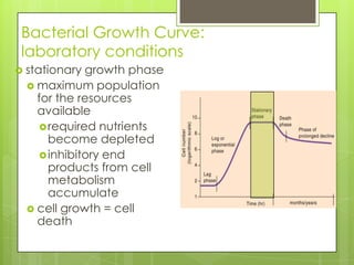 Bacterial Growth Curve:
laboratory conditions
 stationary growth phase
 maximum population
for the resources
available
required nutrients
become depleted
inhibitory end
products from cell
metabolism
accumulate
 cell growth = cell
death
 