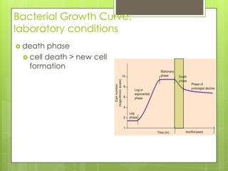 Bacterial Growth Curve:
laboratory conditions
 death phase
 cell death > new cell
formation
 