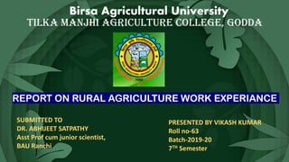 REPORT ON RURAL AGRICULTURE WORK EXPERIANCE
Birsa Agricultural University
TILKA MANJHI AGRICULTURE COLLEGE, GODDA
SUBMITTED TO
DR. ABHIJEET SATPATHY
Asst Prof cum junior scientist,
BAU Ranchi
PRESENTED BY VIKASH KUMAR
Roll no-63
Batch-2019-20
7TH Semester
 