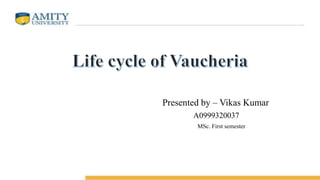 Presented by – Vikas Kumar
A0999320037
MSc. First semester
 