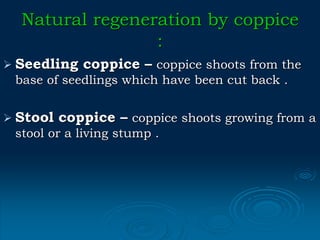 Coppice Method Roots Natural Regeneration of few tree species | PDF