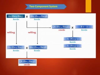 Barnase barstar system | PPTX