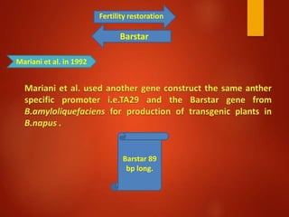 Barnase barstar system | PPTX