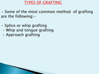 TYPES OF GRAFTING
• Some of the most common method of grafting
are the following:-
• Splice or whip grafting
• Whip and tongue grafting
• Approach grafting
 