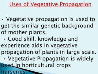 Uses of Vegetative Propagation
• Vegetative propagation is used to
get the similar genetic background
of mother plants.
• Good skill, knowledge and
experience aids in vegetative
propagation of plants in large scale.
• Vegetative Propagation is widely
used in horticultural crops
nurseries.
 