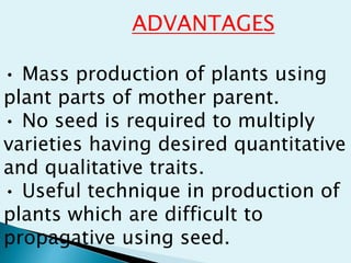 ADVANTAGES
• Mass production of plants using
plant parts of mother parent.
• No seed is required to multiply
varieties having desired quantitative
and qualitative traits.
• Useful technique in production of
plants which are difficult to
propagative using seed.
 