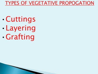 TYPES OF VEGETATIVE PROPOGATION
•Cuttings
•Layering
•Grafting
 