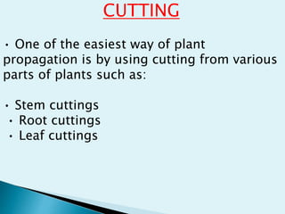 CUTTING
• One of the easiest way of plant
propagation is by using cutting from various
parts of plants such as:
• Stem cuttings
• Root cuttings
• Leaf cuttings
 