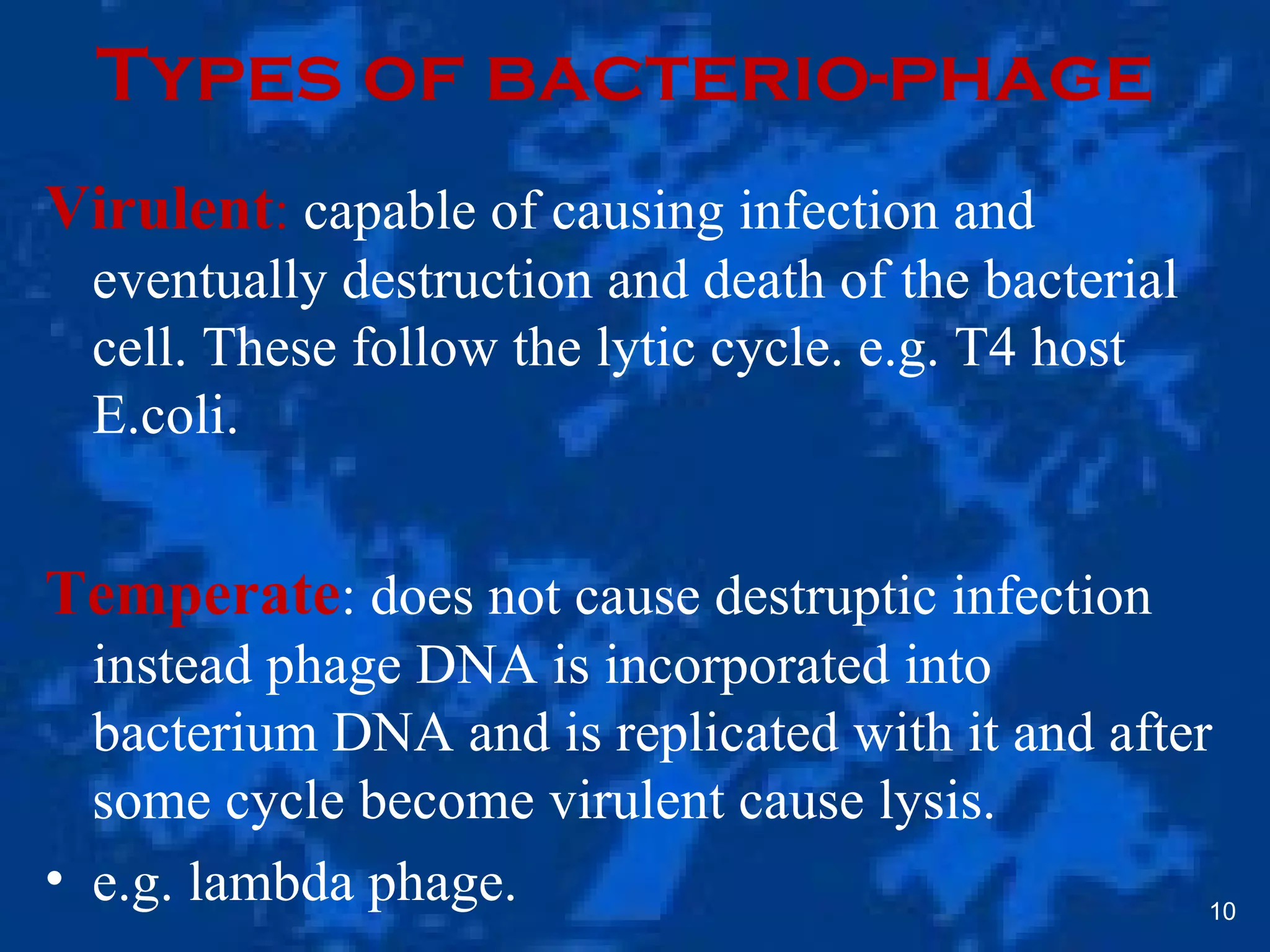 Types of bacterio-phage
Virulent: capable of causing infection and
eventually destruction and death of the bacterial
cell. These follow the lytic cycle. e.g. T4 host
E.coli.
Temperate: does not cause destruptic infection
instead phage DNA is incorporated into
bacterium DNA and is replicated with it and after
some cycle become virulent cause lysis.
• e.g. lambda phage. 10
 