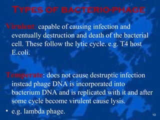 Types of bacterio-phage
Virulent: capable of causing infection and
eventually destruction and death of the bacterial
cell. These follow the lytic cycle. e.g. T4 host
E.coli.
Temperate: does not cause destruptic infection
instead phage DNA is incorporated into
bacterium DNA and is replicated with it and after
some cycle become virulent cause lysis.
• e.g. lambda phage. 10
 