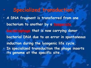 • Specialized transduction:
• A DNA fragment is transferred from one
bacterium to another by a temperate
bacteriophage that is now carrying donor
bacterial DNA due to an error in spontaneous
induction during the lysogenic life cycle.
• In specialized transduction the phage inserts
its genome at the specific site.
17
 