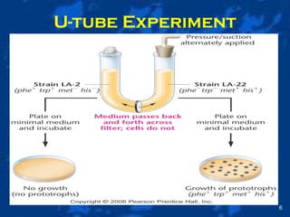 U-tube Experiment
6
 
