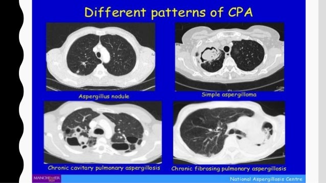 book Supply Chain Sourcing: Konzeption und Gestaltung von Synergien durch mehrstufiges