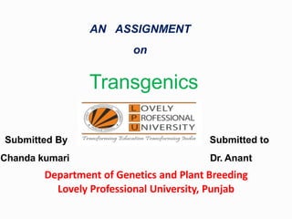 Submitted By
Chanda kumari
Submitted to
Dr. Anant
Department of Genetics and Plant Breeding
Lovely Professional University, Punjab
AN ASSIGNMENT
on
Transgenics
 
