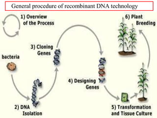 General procedure of recombinant DNA technology
 