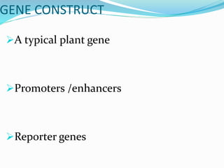 GENE CONSTRUCT
A typical plant gene
Promoters /enhancers
Reporter genes
 