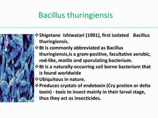 Bacillus
Shigetane Ishiwatari (1901), first isolated
thuringiensis.
Bt is commonly abbreviated as Bacillus
thuringiensis,is a gram-positive, facultative aerobic,
rod-like, motile and sporulating bacterium.
Bt is a naturally-occurring soil borne bacterium that
is found worldwide
Ubiquitous in nature.
Produces crystals of endotoxin (Cry protien or delta
toxin) - toxic to insect mainly in their larval stage,
thus they act as insecticides.
Bacillus thuringiensis
 