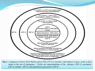 Fig 1: A diagram re-drawn from Harlan and de Wet (1971) to include a description of gene pools as they
relate to the use of transgenes . Circles are representations of the primary- (GP-1), secondary-
(GP-2), tertiary- (GP-3), and quaternary-gene pools (GP-4)
 