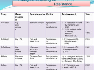 Transgenic Breeding for Insect
Resistance
Crop Gene
inserte
d
Resistance to Vector Achievement Year
1) Cotton Cry
gene
comple
x
Bollworm complex Agrobacteriu
m
tumefacience
1) 1 st Bt cotton in world
by Monsanto Ltd.
USA.
2) 1st Bt cotton in india
- 1996 by
MAHYCO -
Monsanto Ltd.
1987
1996
2) Brinjal Cry 1 Ab Fruit and
shoot borer
Agrobacteriu
m
tumefacience
1) 1 st transgenic (Bt)
Brinjal in world (
USA)
2004
3) Cabbage Cry
gene
comple
x
Cabbage
worm and
cabbage
looper
Agrobacteriu
m
tumefacience
1) 1 st transgenic (Bt)
Cabbage in world
(USA)
2002
4)Maize Cry gene
complex
European Corn
Borer
Agrobacterium
tumefacience
1) 1st Transgenic maize in
world is Maximizer (Spain)
by Company Ciba Geigy
1995
5)Okra Cry 1 Ab Fruit and
shoot borer
Agrobacteriu
m
1) 1 st Transgenic okra
in world by U.S.A.
2002
 