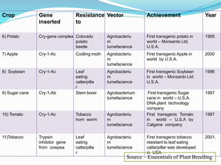 Crop Gene
inserted
Resistance
to
Vector Achievement Year
6) Potato Cry-gene complex Colorado
potato
beetle
Agrobacteriu
m
tumefacience
First transgenic potato in
world – Monsanto Ltd.
U.S.A.
1995
7) Apple Cry-1-Ac Codling moth Agrobacteriu
m
tumefacience
First transgenic Apple in
world by U.S.A.
2000
8) Soybean Cry-1-Ac Leaf
eating
catterpilla
r
Agrobacteriu
m
tumefacience
First transgenic Soybean
in world – Monsanto Ltd.
U.S.A.
1996
9) Sugar cane Cry-1-Ab Stem borer Agrobacterium
tumefacience
First transgenic Sugar
cane in world – U.S.A.
DNA plant technology
company
1997
10) Tomato Cry-1-Ac Tobacco
horn worm
Agrobacteriu
m
tumefacience
First transgenic Tomato
in world – U.S.A by
Calgene company
1987
11)Tobacco Trypsin
inhibitor gene
from cowpea
Leaf
eating
catterpilla
r
Agrobacteriu
m
tumefacience
First transgenic tobacco
resistant to leaf eating
catterpillar was developed
in USA.
2001.
Source – Esseentials of Plant Breeding
 