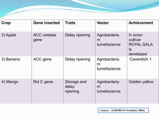 Crop Gene inserted Traits Vector Achievement
2) Apple ACC oxidase
gene
Delay ripening Agrobacteriu
m
tumefacience
In scion
cultivar
ROYAL GALA
is
developed
3) Banana ACC gene Delay ripening Agrobacteriu
m
tumefacience
Cavendish 1
4) Mango Rol C gene Storage and
delay
ripening
Agrobacteriu
m
tumefacience
Golden yellow
( Source - AGROBIAS Newsletter. 2006).
 