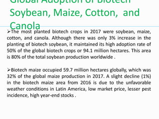 Global Adoption of Biotech
Soybean, Maize, Cotton, and
Canola
The most planted biotech crops in 2017 were soybean, maize,
cotton, and canola. Although there was only 3% increase in the
planting of biotech soybean, it maintained its high adoption rate of
50% of the global biotech crops or 94.1 million hectares. This area
is 80% of the total soybean production worldwide .
Biotech maize occupied 59.7 million hectares globally, which was
32% of the global maize production in 2017. A slight decline (1%)
in the biotech maize area from 2016 is due to the unfavorable
weather conditions in Latin America, low market price, lesser pest
incidence, high year-end stocks .
 