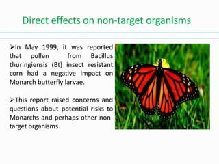 Direct effects on non-target organisms
In May 1999, it was reported
that pollen from Bacillus
thuringiensis (Bt) insect resistant
corn had a negative impact on
Monarch butterfly larvae.
This report raised concerns and
questions about potential risks to
Monarchs and perhaps other non-
target organisms.
 