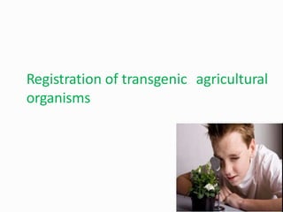 Registration of transgenic agricultural
organisms
 
