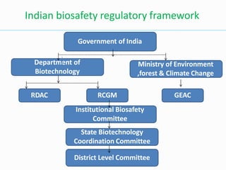 Government of India
Department of
Biotechnology
Ministry of Environment
,forest & Climate Change
RDAC RCGM GEAC
Institutional Biosafety
Committee
State Biotechnology
Coordination Committee
District Level Committee
Indian biosafety regulatory framework
 