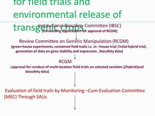 for field trials and
environmental release of
transgenic crops.
Institutional Biosafety Committee (IBSC)
(Forwarding applications for approval of RCGM)
Review Committee on Genetic Manipulation (RCGM)
(green house experiments, contained field trails i.e .in –house trial /intial hybrid trial,
generation of data on gene stability and expression , biosafetydata)
RCGM
(approval for conduct of multi-location field trials on selected varieties )/hybrid)and
biosafety data)
Evaluation of field trails by Monitoring –Cum-Evaluation Committee
(MEC) Through SAUs
 