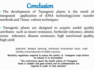 • The development of Transgenic plants is the result of
integrated application of rDNA technology,Gene transfer
methods and Tissue culture techniques.
• Transgenic plants are designed to acquire useful quality
attributes such as insect resistance, herbicide tolerance, abiotic
stress tolerance, disease resistance, high nutritional quality,
high yield
potential, delayed ripening, enhanced ornamental value, male
transgenic crops before
sterility, and production of edible vaccines.
Biosafety regulations required to assess the safety of
its release in to environment.
“The controversy about the health safety of Transgenic
foods is complex and good science and its communication are
required in order to find solutions”
 