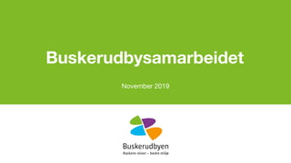 Buskerudbysamarbeidet
November 2019
 