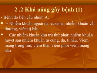2 .2 Khả năng gây bệnh (1)
- Bệnh do liên cầu nhóm A:
 + Nhiễm khuẩn ngoài da: eczema, nhiễm khuẩn vết

  thương, viêm tị hầu
 + Các nhiễm khuẩn khu trú thứ phát: nhiễm khuẩn

  huyết sau nhiễm khuẩn tử cung, da, tị hầu. Viêm
  màng trong tim, viêm thận viêm phổi viêm màng
  não
 