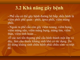 3.2 Khả năng gây bệnh
- Phế cầu có thể gây bệnh đường hô hấp, diển hình là
viêm phổi phế quản - phổi, ápxe phổi, viêm màng
phổi.
- Ngoài ra phế cầu còn gây viêm xoang, viêm họng,
viêm màng não, viêm màng bụng, màng tim, viêm
thận, viêm tinh hoàn ...
-Ở các nơi tổn thương phế cầu hình thành một lớp vỏ
dày, làm cho thuốc kháng sinh khó có tác dụng. Do
đó dùng kháng sinh chữa bệnh phải chữa sớm và triệt
để.
 