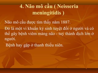 4. Não mô cầu ( Neisseria
             meningitidis )
Não mô cầu được tìm thấy năm 1887.
Đó là một vi khuẩn ký sinh tuyệt đối ở người và có
thể gây bệnh viêm màng não - tuỷ thành dịch lớn ở
người.
 Bệnh hay gặp ở thanh thiếu niên.
 