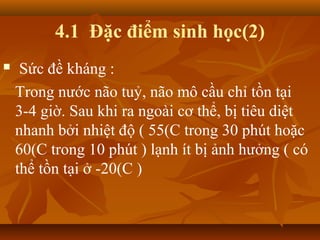 4.1 Đặc điểm sinh học(2)
    Sức đề kháng :
    Trong nước não tuỷ, não mô cầu chỉ tồn tại
    3-4 giờ. Sau khi ra ngoài cơ thể, bị tiêu diệt
    nhanh bởi nhiệt độ ( 55(C trong 30 phút hoặc
    60(C trong 10 phút ) lạnh ít bị ảnh hưởng ( có
    thể tồn tại ở -20(C )
 