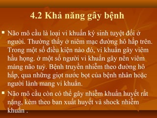 4.2 Khả năng gây bệnh
   Não mô cầu là loại vi khuẩn ký sinh tuyệt đối ở
    người. Thường thấy ở niêm mạc đường hô hấp trên.
    Trong một số điều kiện nào đó, vi khuẩn gây viêm
    hầu họng. ở một số người vi khuẩn gây nên viêm
    màng não tuỷ. Bệnh truyền nhiễm theo đường hô
    hấp, qua những giọt nước bọt của bệnh nhân hoặc
    người lành mang vi khuẩn.
   Não mô cầu còn có thể gây nhiễm khuẩn huyết rất
    nặng, kèm theo ban xuất huyết và shock nhiễm
    khuẩn .
 