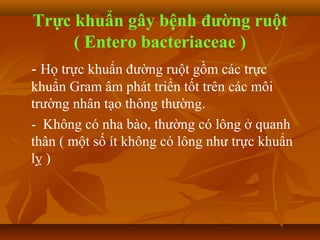 Trực khuẩn gây bệnh đường ruột
     ( Entero bacteriaceae )
- Họ trực khuẩn đường ruột gồm các trực
khuẩn Gram âm phát triển tốt trên các môi
trường nhân tạo thông thường.
- Không có nha bào, thường có lông ở quanh
thân ( một số ít không có lông như trực khuẩn
lỵ )
 