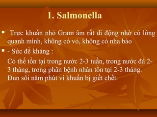 1. Salmonella
    Trực khuẩn nhỏ Gram âm rất di động nhờ có lông
    quanh mình, không có vỏ, không có nha bào
   - Sức đề kháng :
    Có thể tồn tại trong nước 2-3 tuần, trong nước đá 2-
    3 tháng, trong phân bệnh nhân tồn tại 2-3 tháng.
    Đun sôi năm phút vi khuẩn bị giết chết.
 
