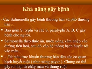 Khả năng gây bệnh
- Các Salmonella gây bệnh thương hàn và phó thương
  hàn :
 Bao gồm S. typhi và các S. paratyphi A, B, C gây

  bệnh cho người.
 Salmonella theo thức ăn, nước uống xâm nhập vào

  đường tiêu hoá, sau đó vào hệ thống bạch huyết rồi
  vào máu .
 - Từ máu trực khuẩn thương hàn đến các cơ quan

  bạch huyết ruột ( như mảng payer ). Chúng có thể
  gây ra hoại tử chẩy máu và thủng ruột
 