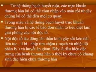        Từ hệ thống bạch huyết ruột, các trực khuẩn
    thương hàn lại có thể xâm nhập vào máu rồi từ đây
    chúng lại có thể đến mọi cơ quan.
   Trong máu và hệ thống bạch huyết trực khuẩn
    thương hàn bị các tế bào đơn nhân to tiêu diệt làm
    giải phóng các nội độc tố.
   Nội độc tố tác động lên thần kinh gây sốt kéo dài ,
    liên tục , li bì , nhịp tim chậm ( mạch và nhiệt độ
    phân ly ) và huyết áp giảm. Đây là dấu hiệu đặc
    trưng của bệnh thương hàn ở thời kỳ chưa có kháng
    sinh đặc hiệu chữa thương hàn
 