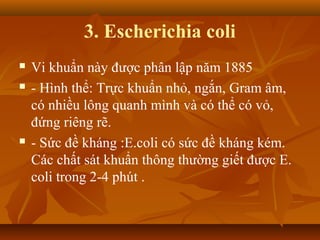 3. Escherichia coli
   Vi khuẩn này được phân lập năm 1885
   - Hình thể: Trực khuẩn nhỏ, ngắn, Gram âm,
    có nhiều lông quanh mình và có thể có vỏ,
    đứng riêng rẽ.
   - Sức đề kháng :E.coli có sức đề kháng kém.
    Các chất sát khuẩn thông thường giết được E.
    coli trong 2-4 phút .
 