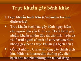 Trực khuẩn gây bệnh khác
1.Trực khuẩn bạch hầu (Corynebacterium
   diphteriae)
  Trực khuẩn bạch hầu gây bệnh nguy hiểm
   cho người chủ yếu là trẻ em. Đó là bệnh gây
   nhiễm khuẩn nhiễm độc rất cấp tính Trên da
   và lỗ mũi người có một số corynebacterium
   không gây bệnh ( trực khuẩn giả bạch hầu )
  Gồm 3 nhóm : Gravis thường gây thành dịch
   lớn. Mitis và Intermediis thường gây dịch
   bạch hầu tản phát nhưng tồn tại dai dẳng .
 