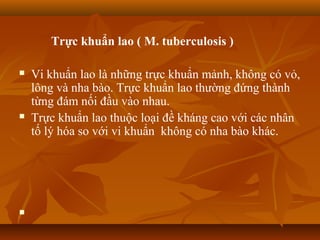 Trực khuẩn lao ( M. tuberculosis )

   Vi khuẩn lao là những trực khuẩn mảnh, không có vỏ,
    lông và nha bào. Trực khuẩn lao thường đứng thành
    từng đám nối đầu vào nhau.
   Trực khuẩn lao thuộc loại đề kháng cao với các nhân
    tố lý hóa so với vi khuẩn không có nha bào khác.





 