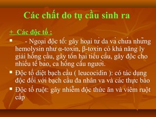 Các chất do tụ cầu sinh ra
+ Các độc tố :
     ­ Ngoại độc tố: gây hoại tử da và chứa những
  hemolysin như α­toxin, β­toxin có khả năng ly
  giải hồng cầu, gây tổn hại tiểu cầu, gây độc cho
  nhiều tế bào, cả hồng cầu người.
 Độc tố diệt bạch cầu ( leucocidin ): có tác dụng

  độc đối với bạch cầu đa nhân va và các thực bào
 Độc tố ruột: gây nhiễm độc thức ăn và viêm ruột

  cấp
 