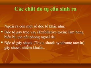 Các chất do tụ cầu sinh ra


    Ngoài ra còn một số độc tố khác như:
   Độc tố gây tróc vảy (Exfollative toxin) làm bong
    biểu bì, tạo nốt phỏng ngoài da.
   Độc tố gây shock (Toxic shock syndrome tocxin)
    gây shock nhiễm khuẩn…
 