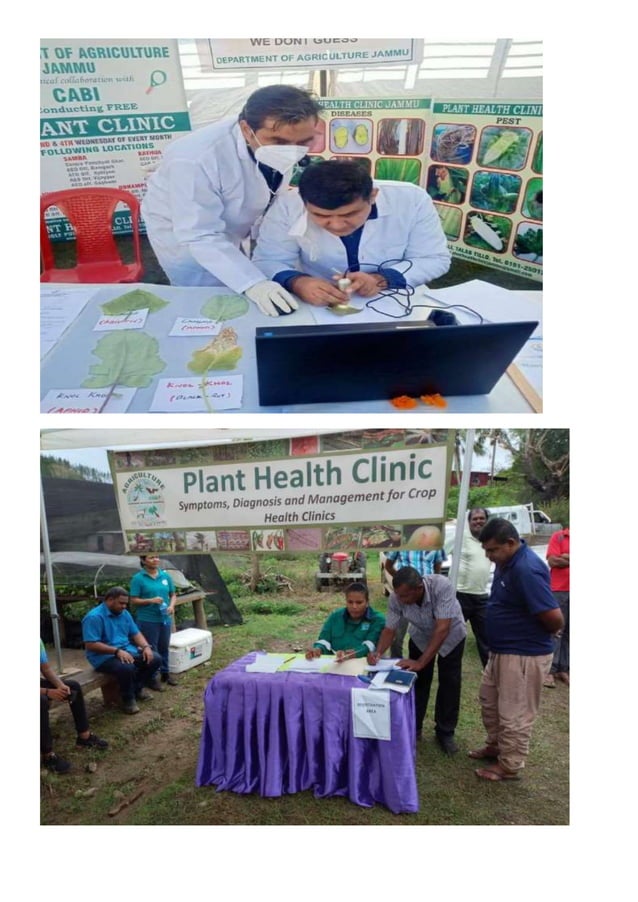 Plant health clinic by Vikram Jat